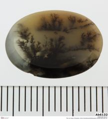 Foto von Quarz (Chalcedon, Achat, Dendritenachat/Mokkastein) (NHMW-MIN-Ab6132)